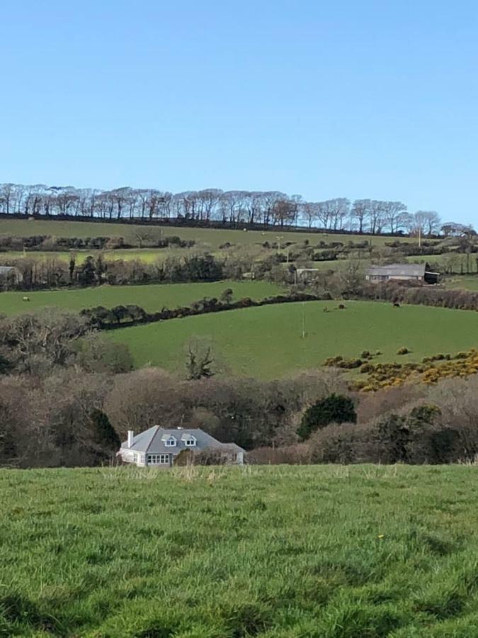 The Annexe, Tregoose House Daire New Quay Dış mekan fotoğraf
