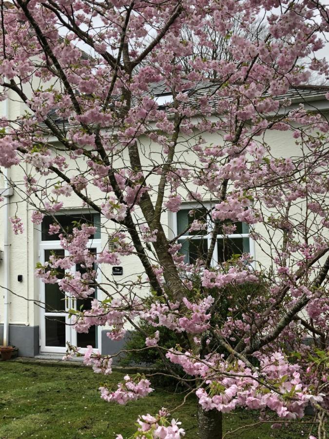 The Annexe, Tregoose House Daire New Quay Dış mekan fotoğraf